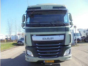 Sadulveok DAF XF 440 NL TRUCK: pilt 3