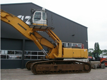 Jäätme-/ Tööstuslik käitleja Liebherr R974C: pilt 4