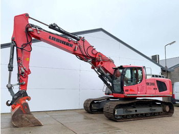 Lintekskavaator Liebherr R936LC - Dutch Machine / Automatic Greasing: pilt 3